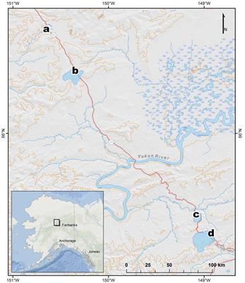 Dissolved Organic Carbon Turnover in Permafrost-Influenced Watersheds of Interior Alaska: Molecular Insights and the Priming Effect